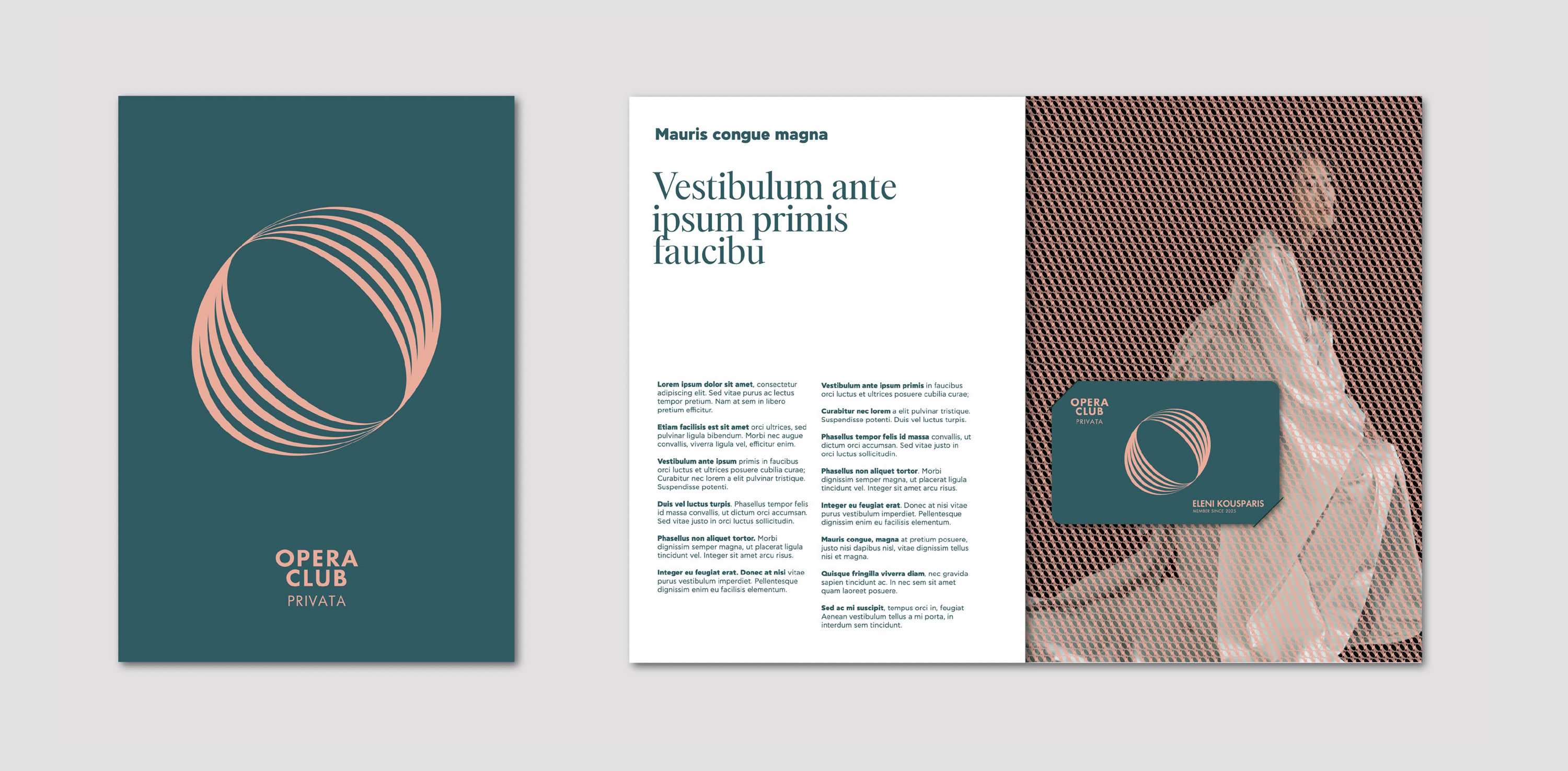 Dimitra Chrona Greek National Opera schema design Greek National Opera Visual identity Membership Programme 16